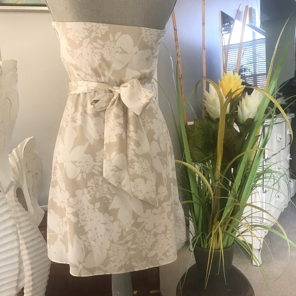 LOST IN HURRICANE IAN LOST 
Express Strapless Dress with belt - Picture 4 of 7